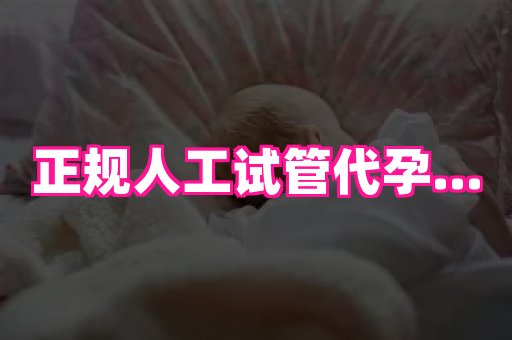 点点助孕网 1