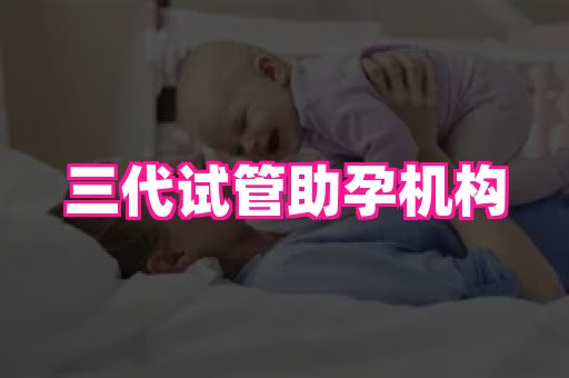 点点助孕网 2