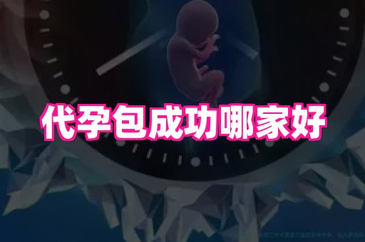 点点助孕网 3
