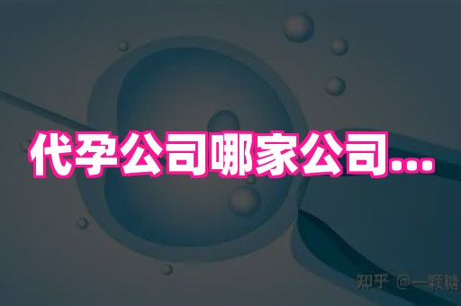 点点助孕网 4